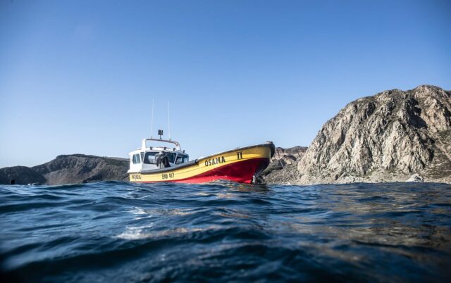 Hoy celebramos a quienes navegan con el alma y pescan con respeto.

A nuestros amigos pescadores artesanales, guardianes del mar, del saber ancestral y del sustento local, ¡gracias!

Su trabajo no solo alimenta, también protege nuestras costas, nuestras tradiciones y la biodiversidad que compartimos.

Con cada red lanzada y cada jornada al alba, nos recuerdan que otra forma de relacionarnos con el océano es posible: más justa, sostenible y en armonía con la naturaleza.

📸 @fariasmoreno